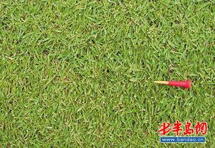 草国产,探寻自然与文化的交融之地